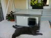INFRA HEATED Thermo Renato Cat house with window "CAT" insize