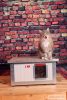 INFRA HEATED Thermo Renato Cat house with window "CAT" insize