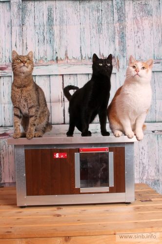 INFRA HEATED Thermo WOODY Cat house "CAT" with Window insize