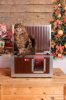 INFRA HEATED Thermo WOODY Cat house "CAT" with Window insize