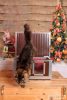 INFRA HEATED Thermo WOODY Cat house "CAT" insize