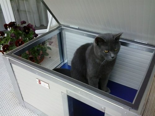 Thermo Renato Cat house with Window "CAT" insize