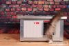 Thermo Renato Cat house with Window "CAT" insize