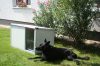 Thermo Renato dog house "S" insize