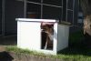 Thermo Renato dog house "S" insize