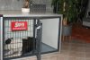 Room Kennel