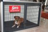 Room Kennel