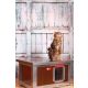 [WH_C1-W] Cușcă pentru pisici Thermo Woody CAT cu geam panoramic (54x38x28cm)