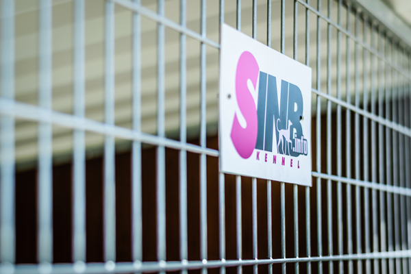 SINB logo a kenneleken