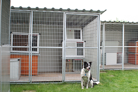 Kutya kennel etetővel
